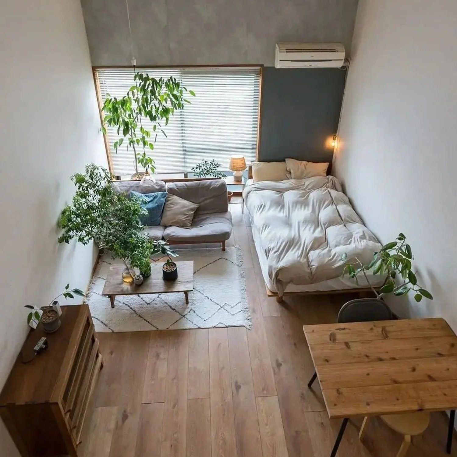 Cozy and minimalist bedroom-living room combo with ample natural light and plant decor