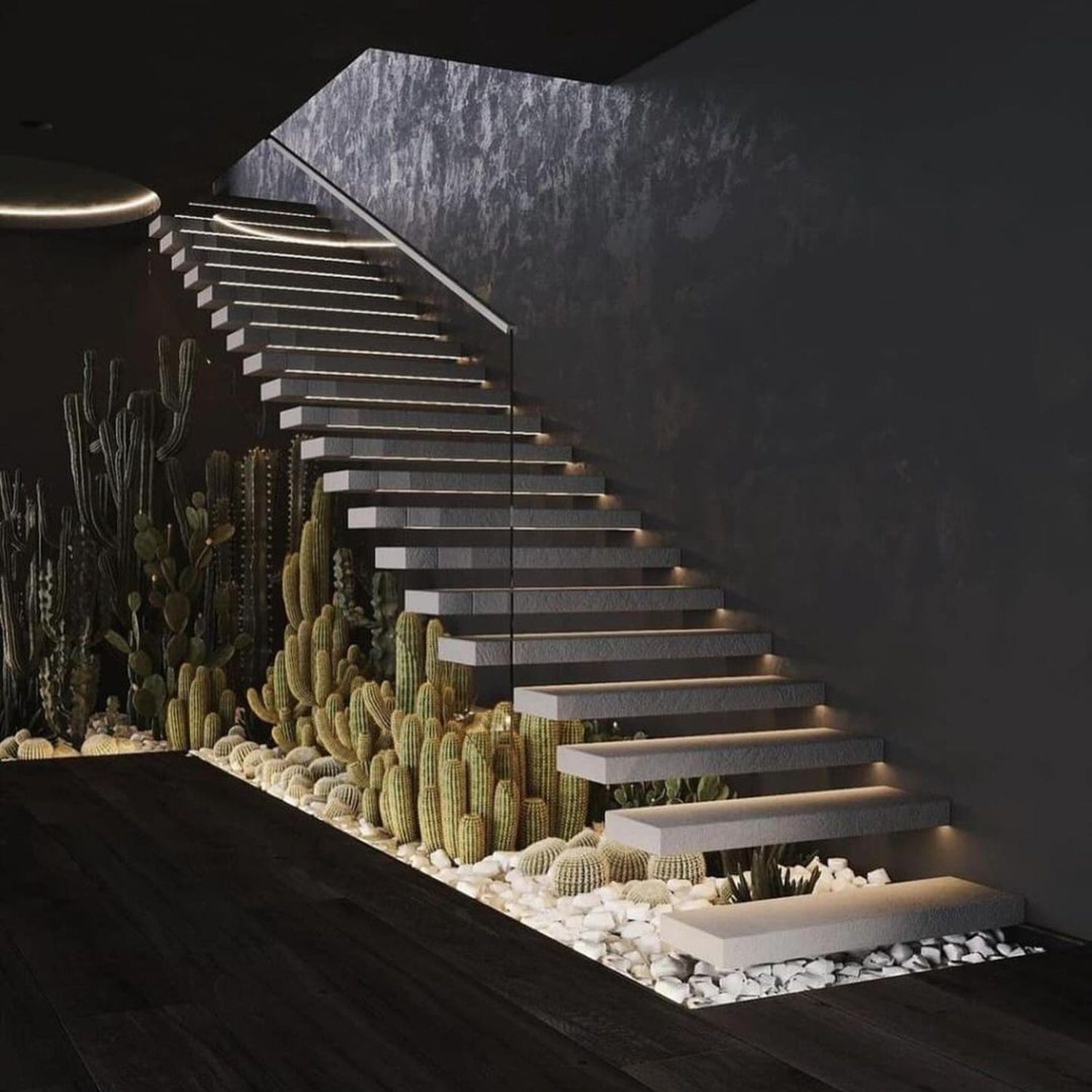 Stunning modern staircase with cactus garden