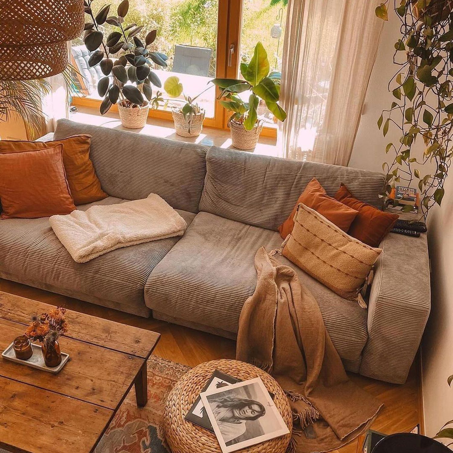 Cozy living room with natural light