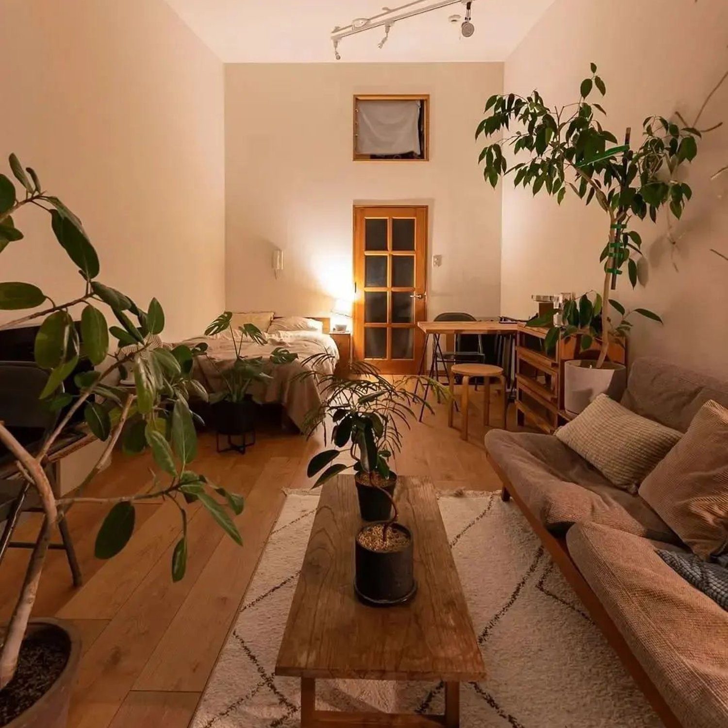 Cozy Living Room with Warm Lighting and Greenery