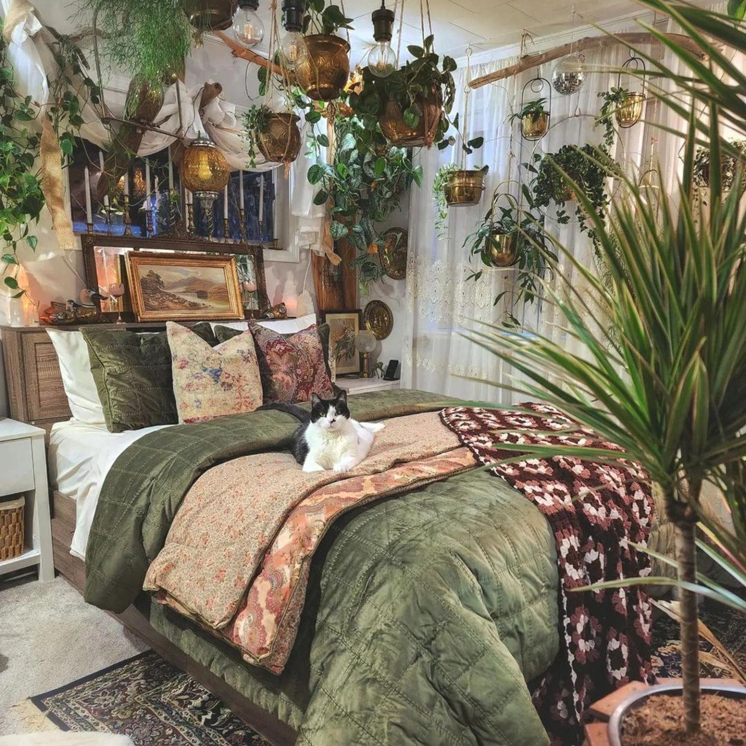 A cozy bedroom brimming with an abundance of houseplants, warm lighting, and vintage decor