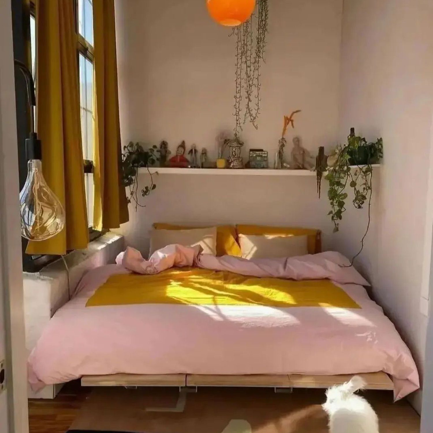 Cozy bedroom with warm sunlight