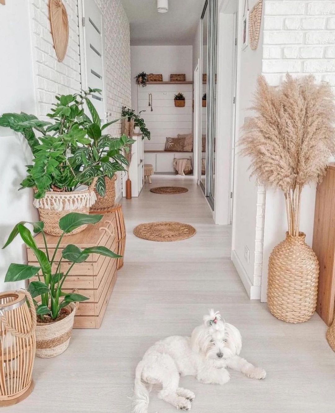 A serene indoor corridor with natural accents