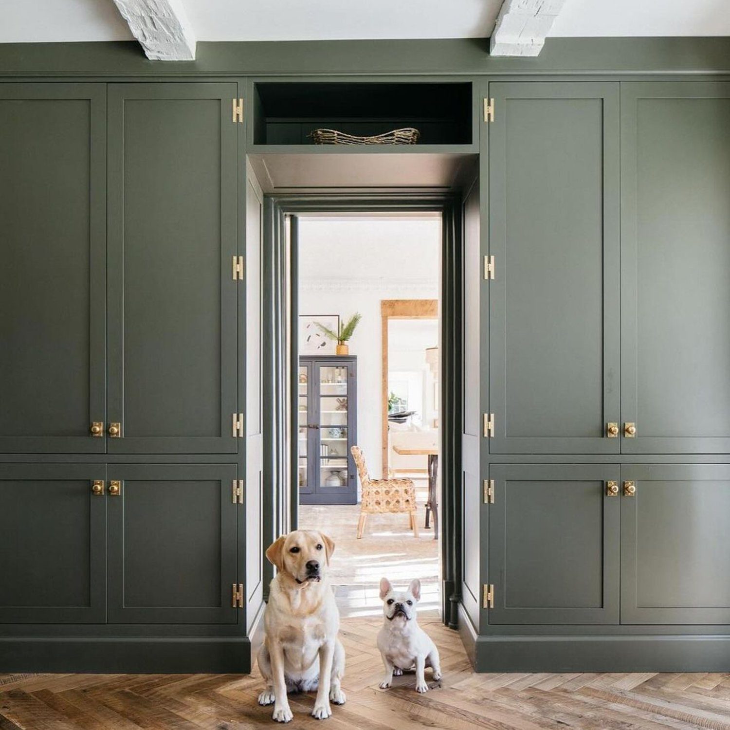 Two dogs waiting in a stylish hallway