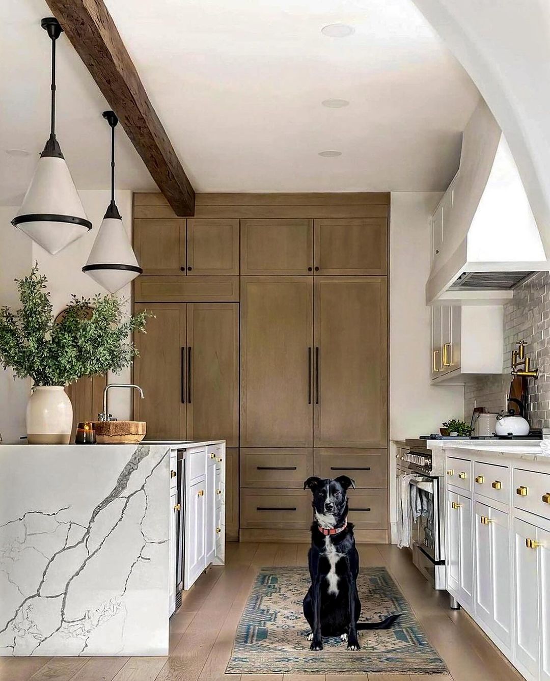 A charming dog sitting on a colorful rug in a stylish kitchen with wooden cabinetry and a marble island.