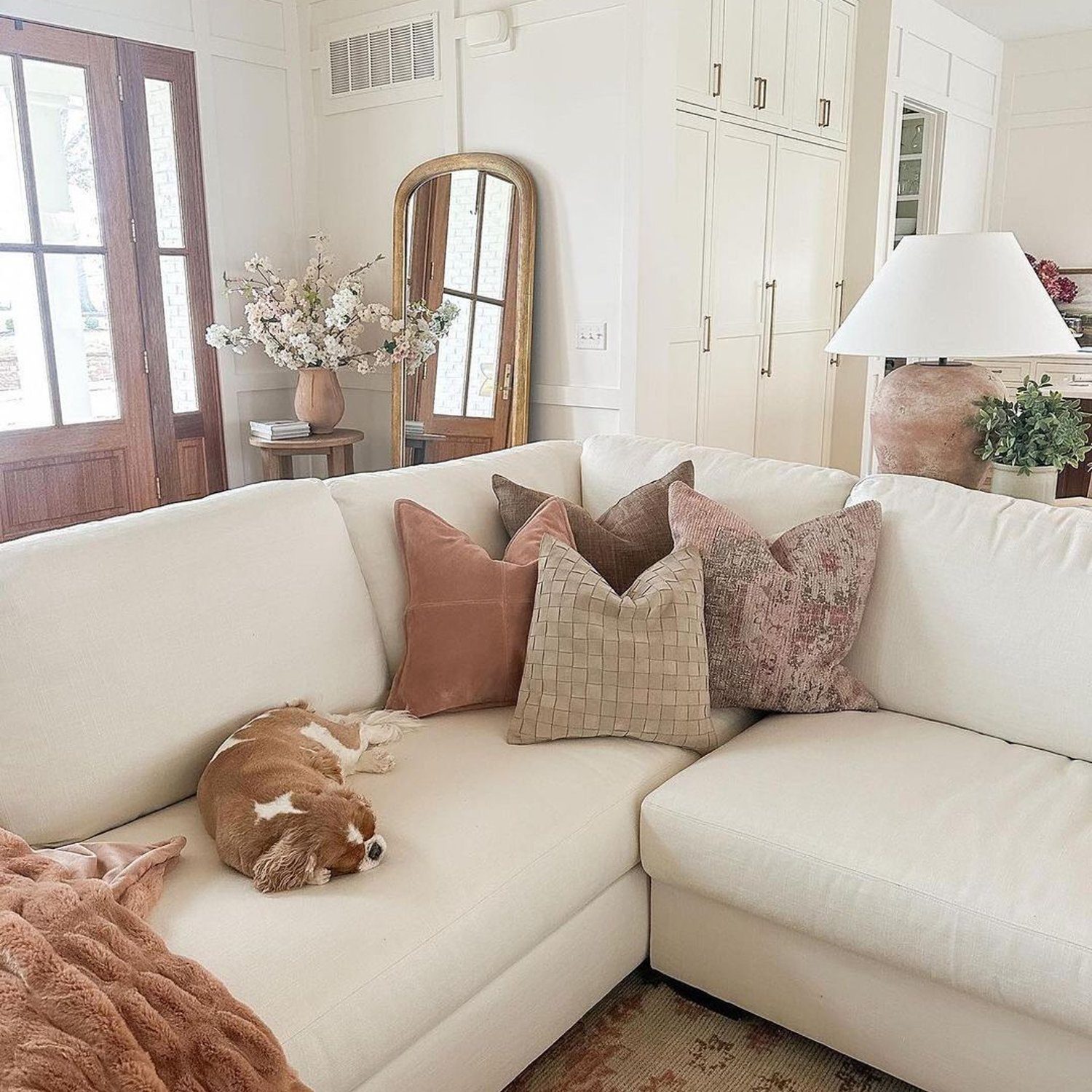 Cozy living room with a resting dog