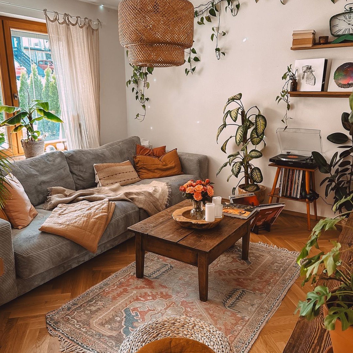 Cozy living room with natural light