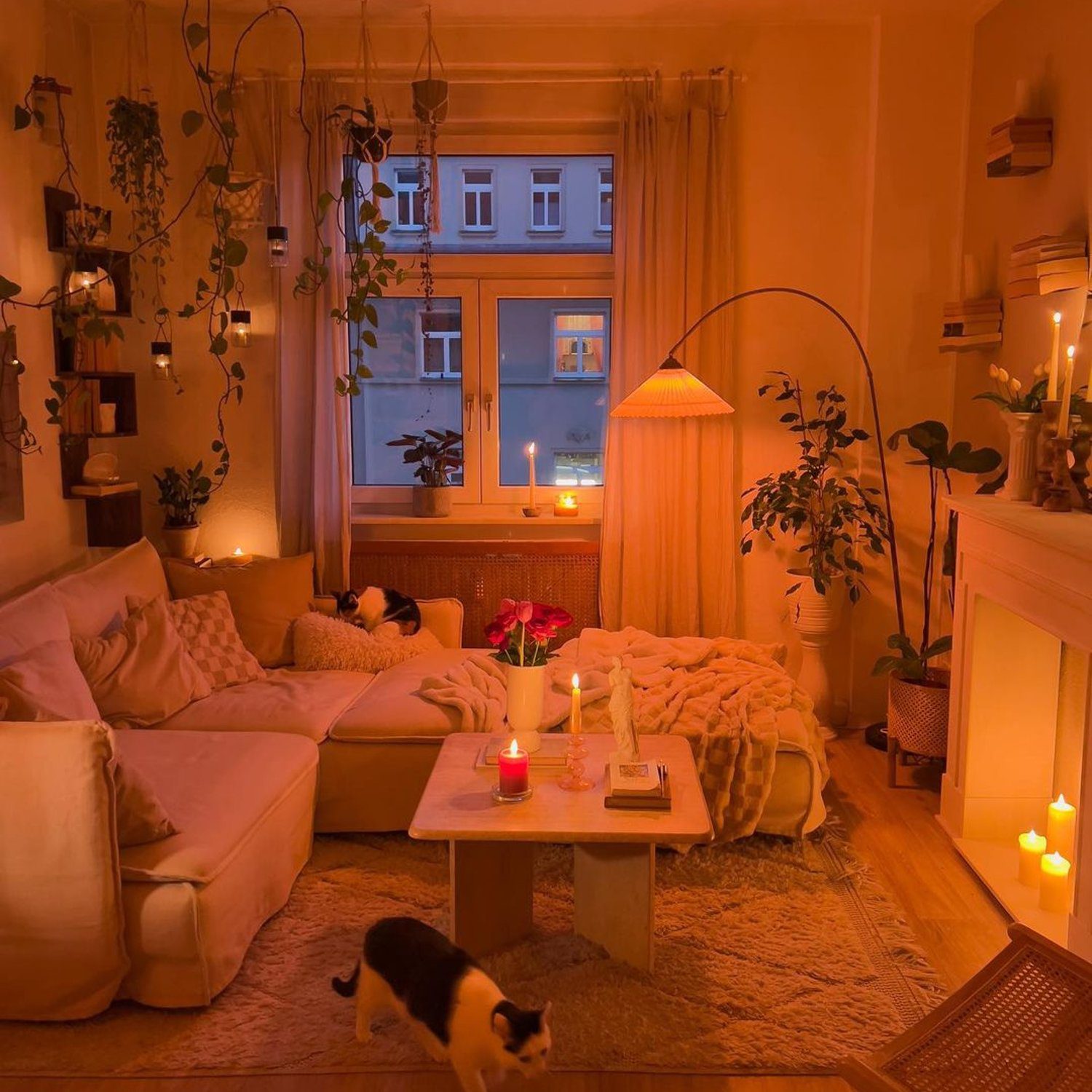 Cozy living room with warm lighting and plants