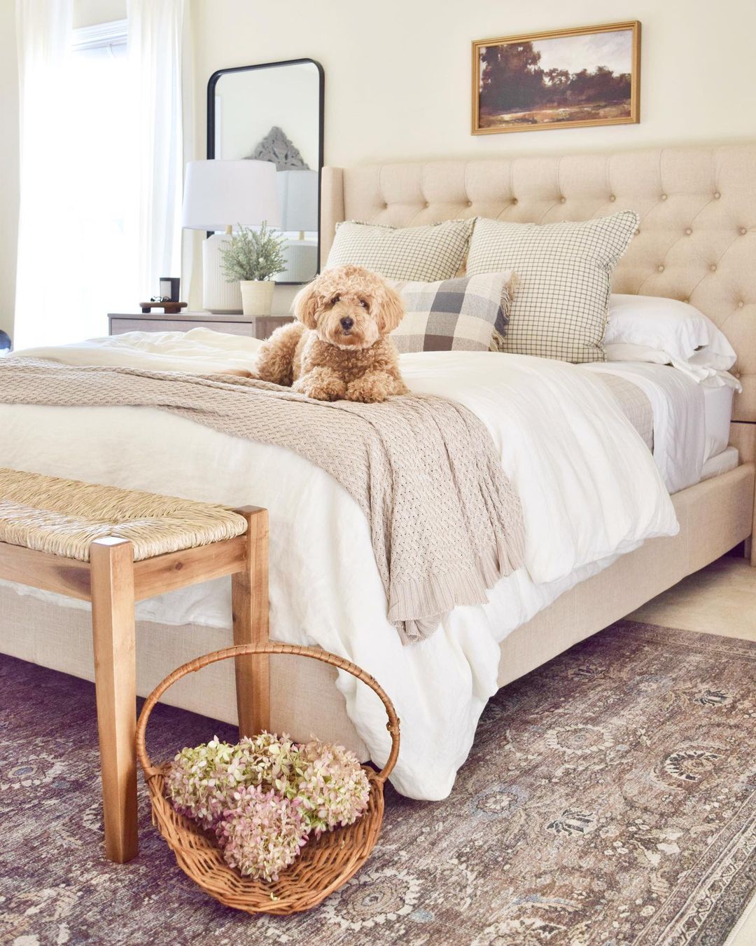 A cozy bedroom with a charming dog on the bed