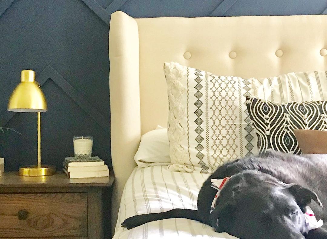 Cozy bedroom with a sleeping dog