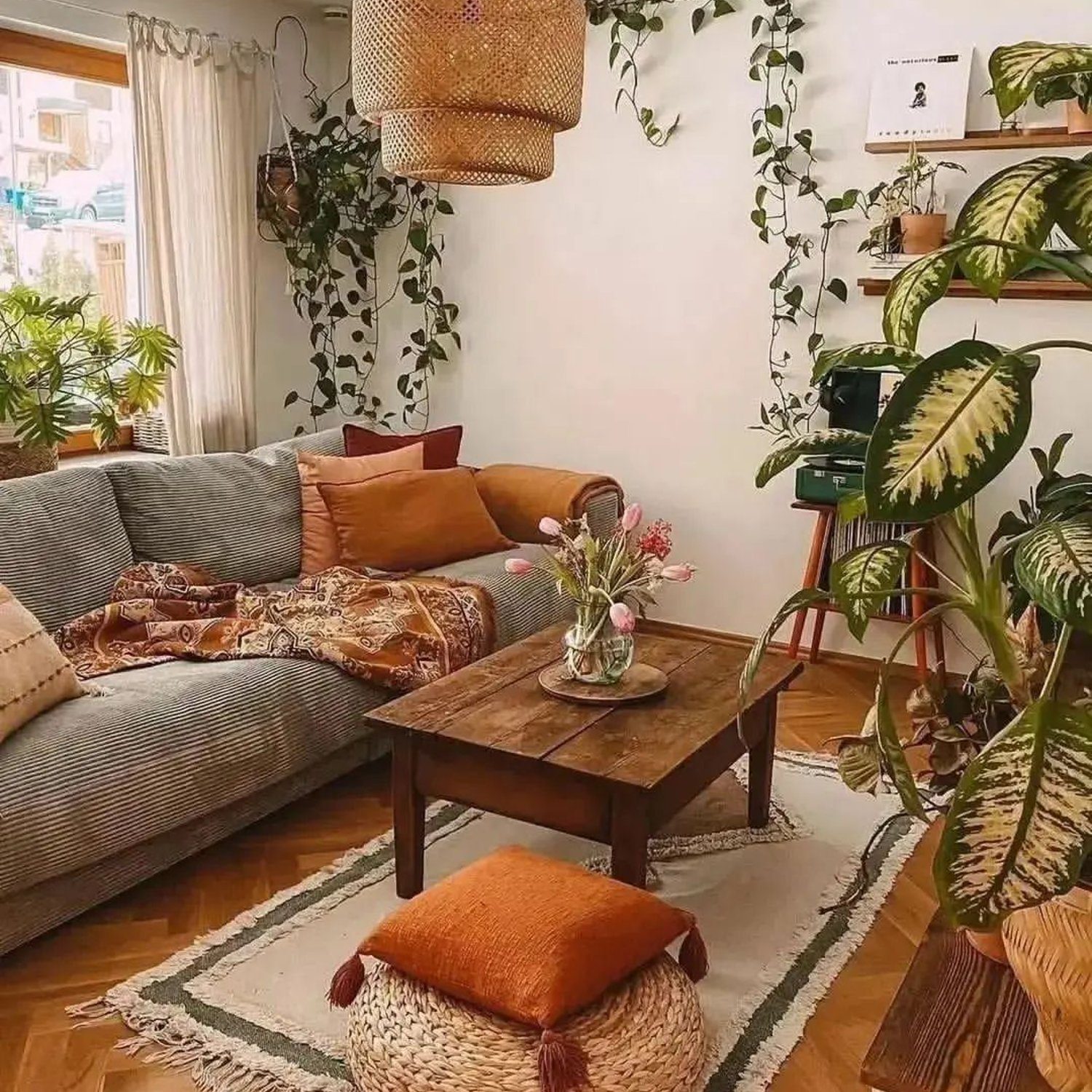 A cozy and well-lit living room with an abundance of greenery