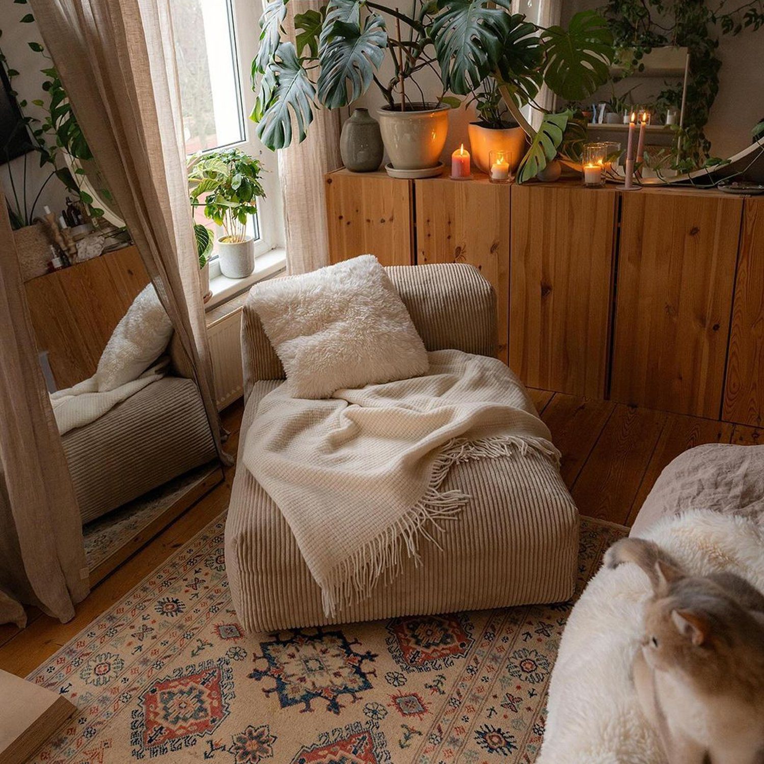 Cozy reading nook with natural light and houseplants