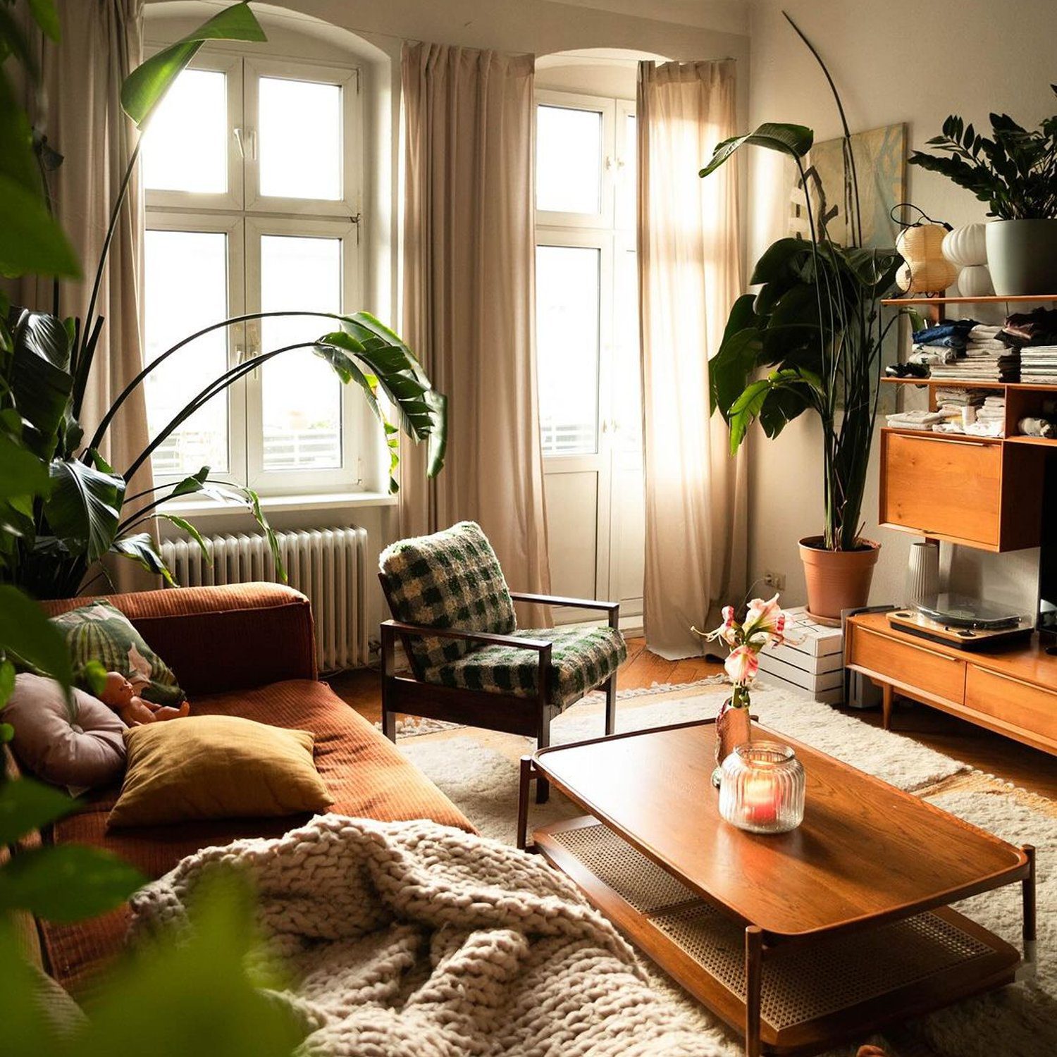 Cozy living room with ample greenery