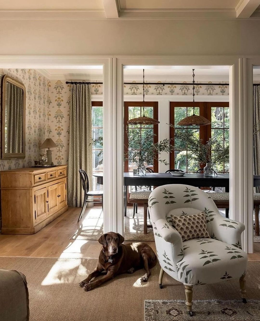 A dog lounging in a sunlit room with tasteful decor