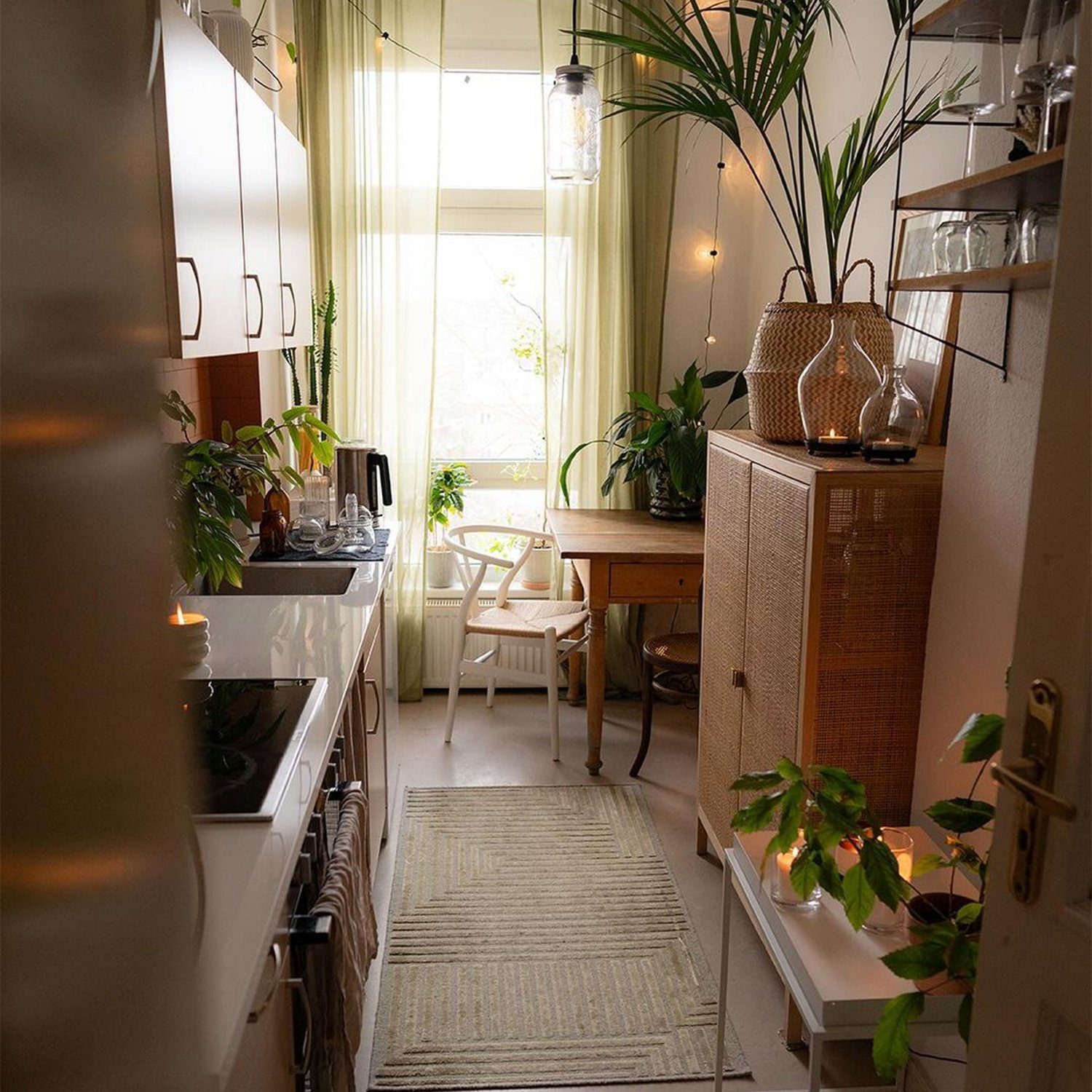 A cozy and well-organized kitchen nook with plants and natural light