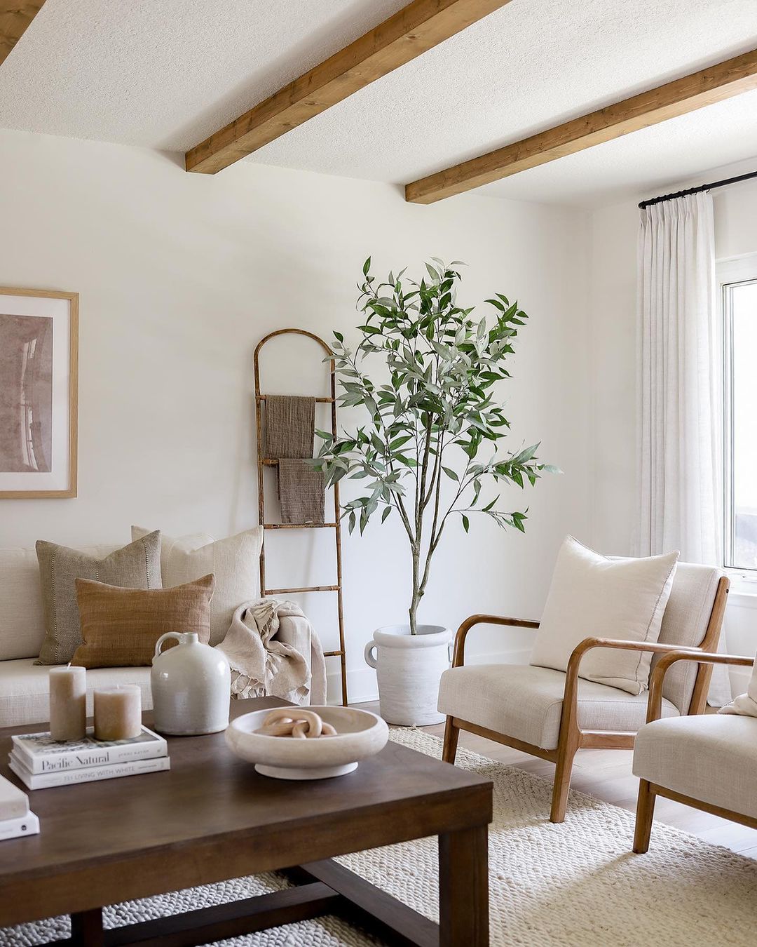 Cozy living room with natural light