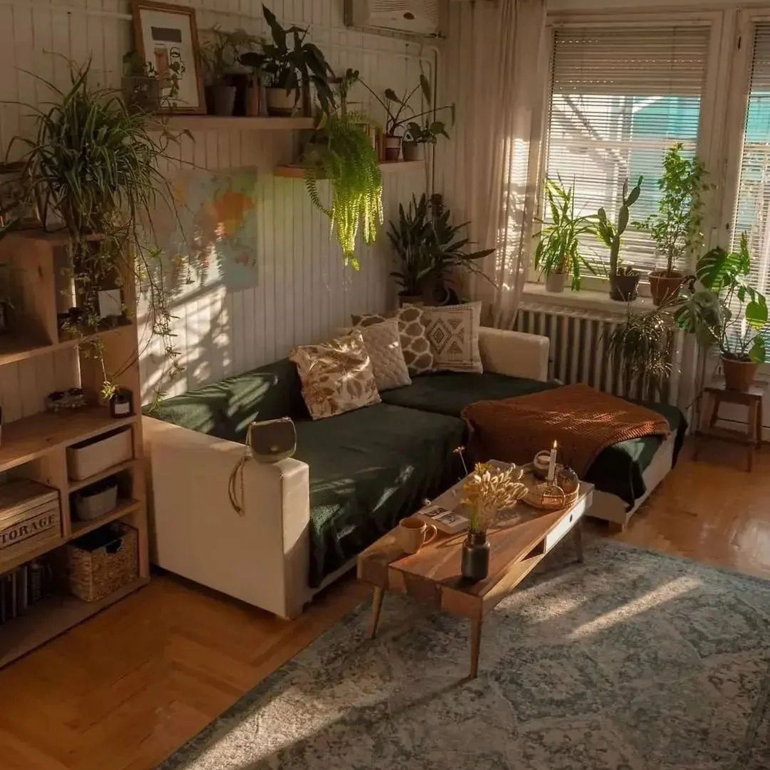 Cozy living room with an abundance of plants