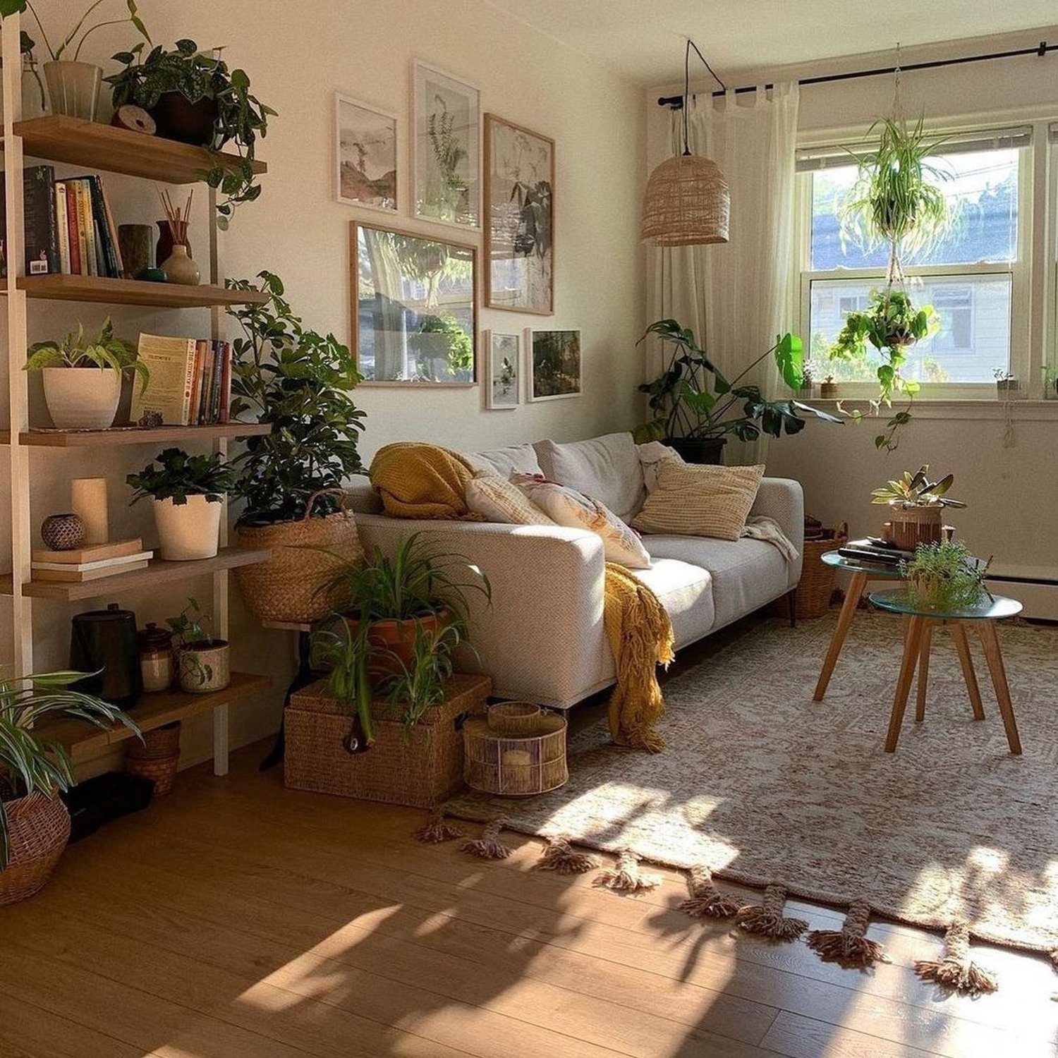 Cozy living room with abundant greenery and warm natural light