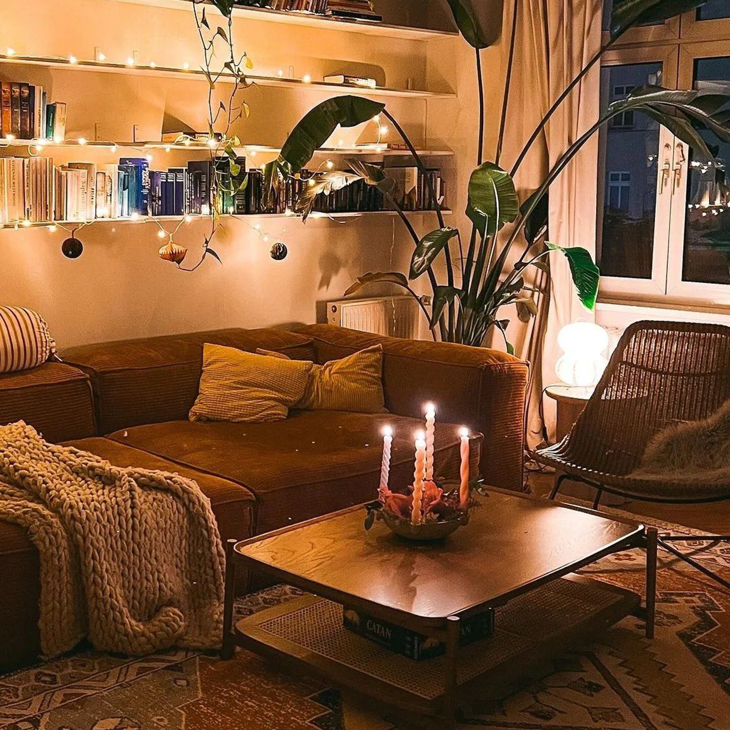 A cozy living room with warm lighting and lush green plants