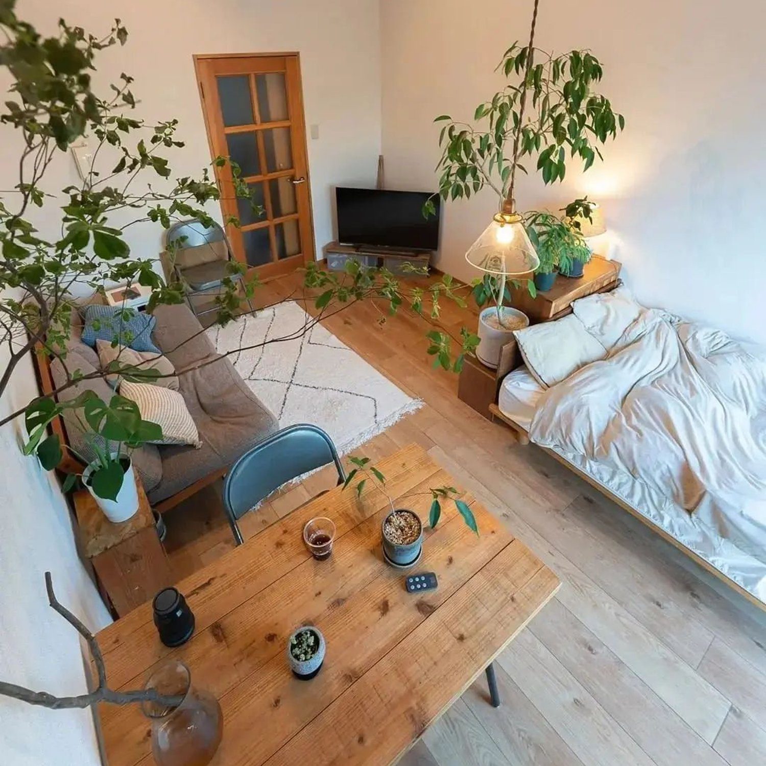 Cozy living room with indoor plants