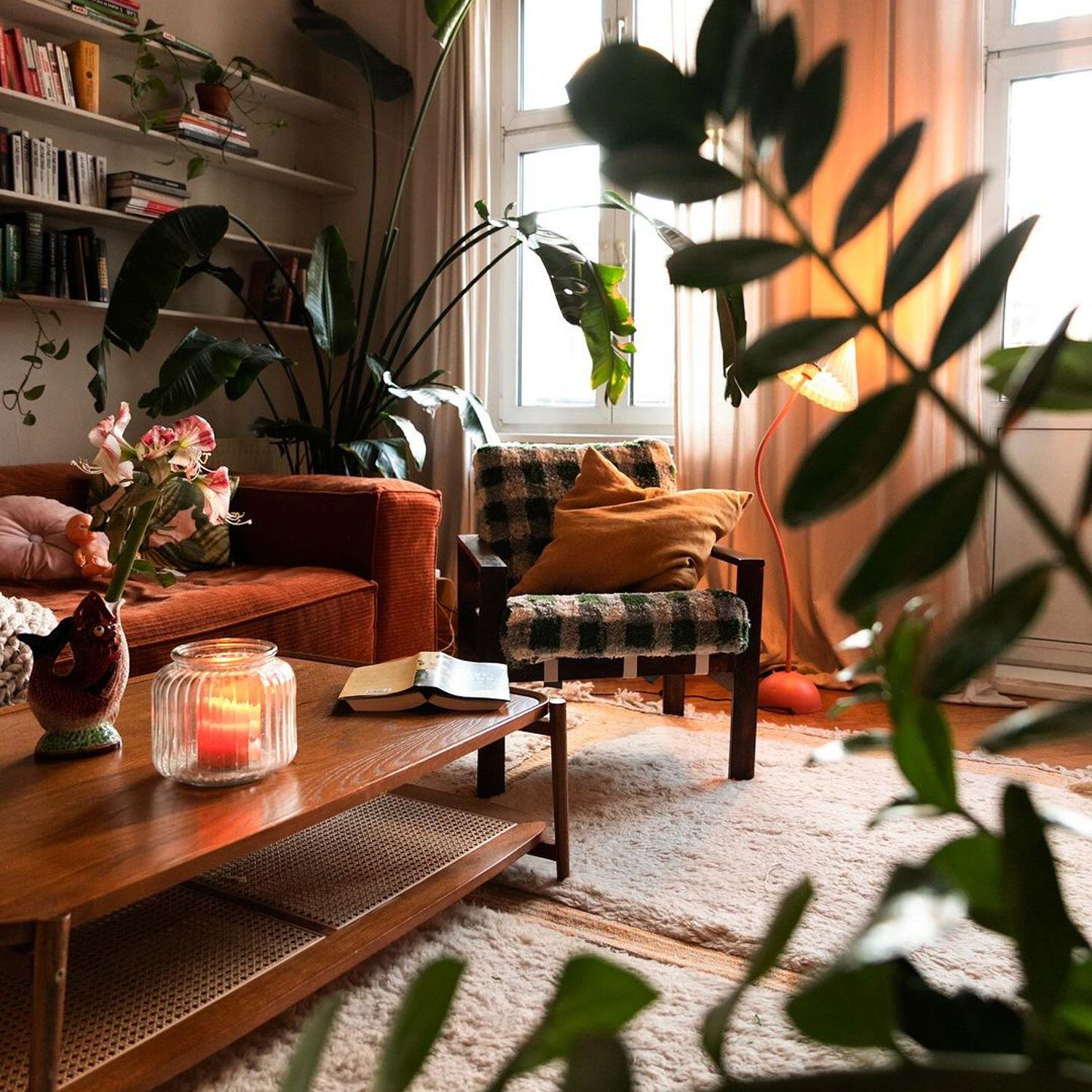 Cozy living room with warm lighting and houseplants