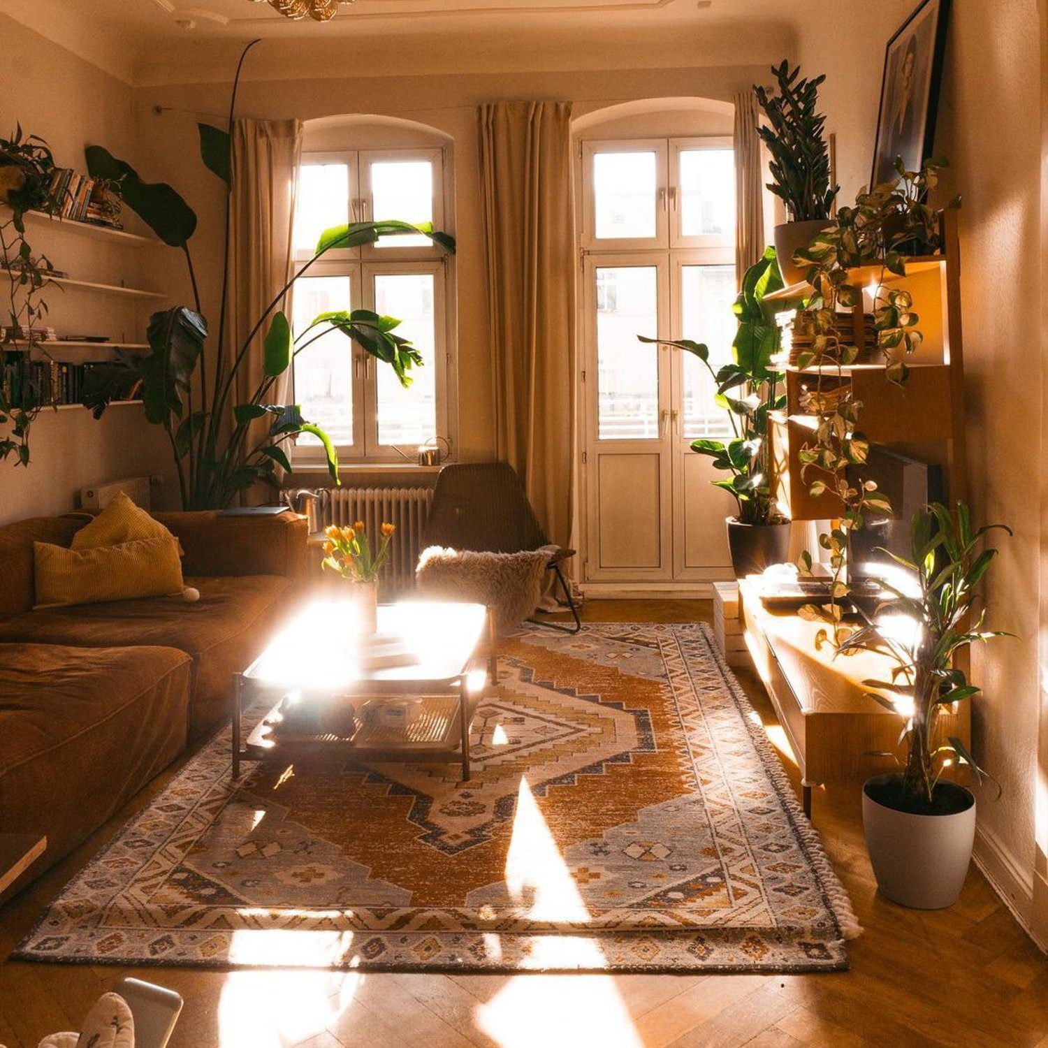 Cozy living room with abundant sunlight