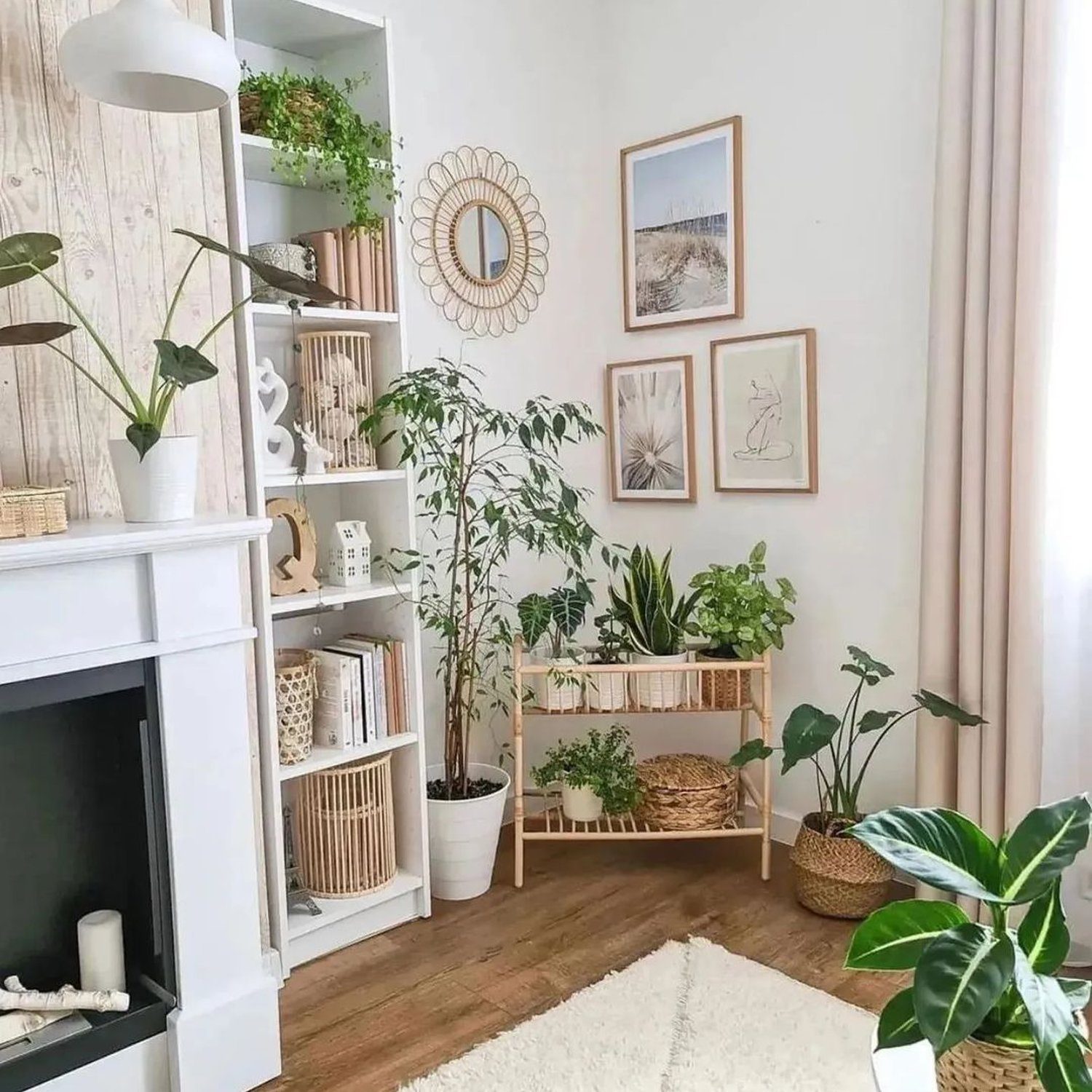 Cozy living room corner with a variety of houseplants