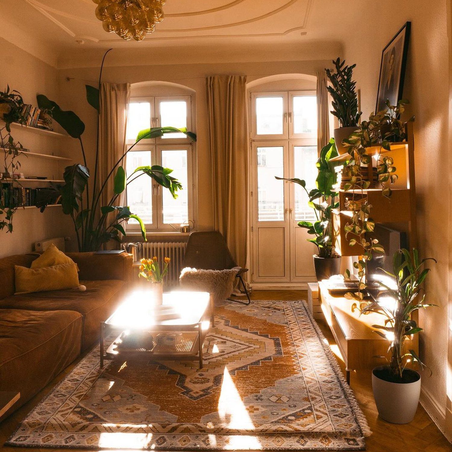 Cozy living room with abundant natural light