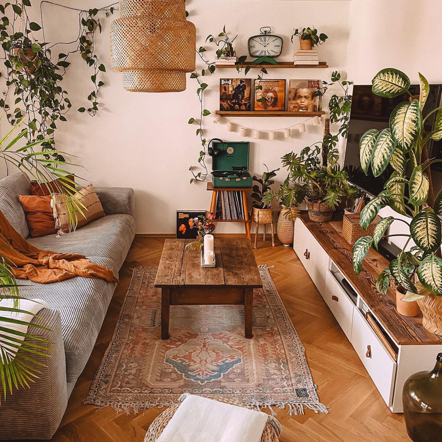 A cozy living room with an abundance of indoor plants