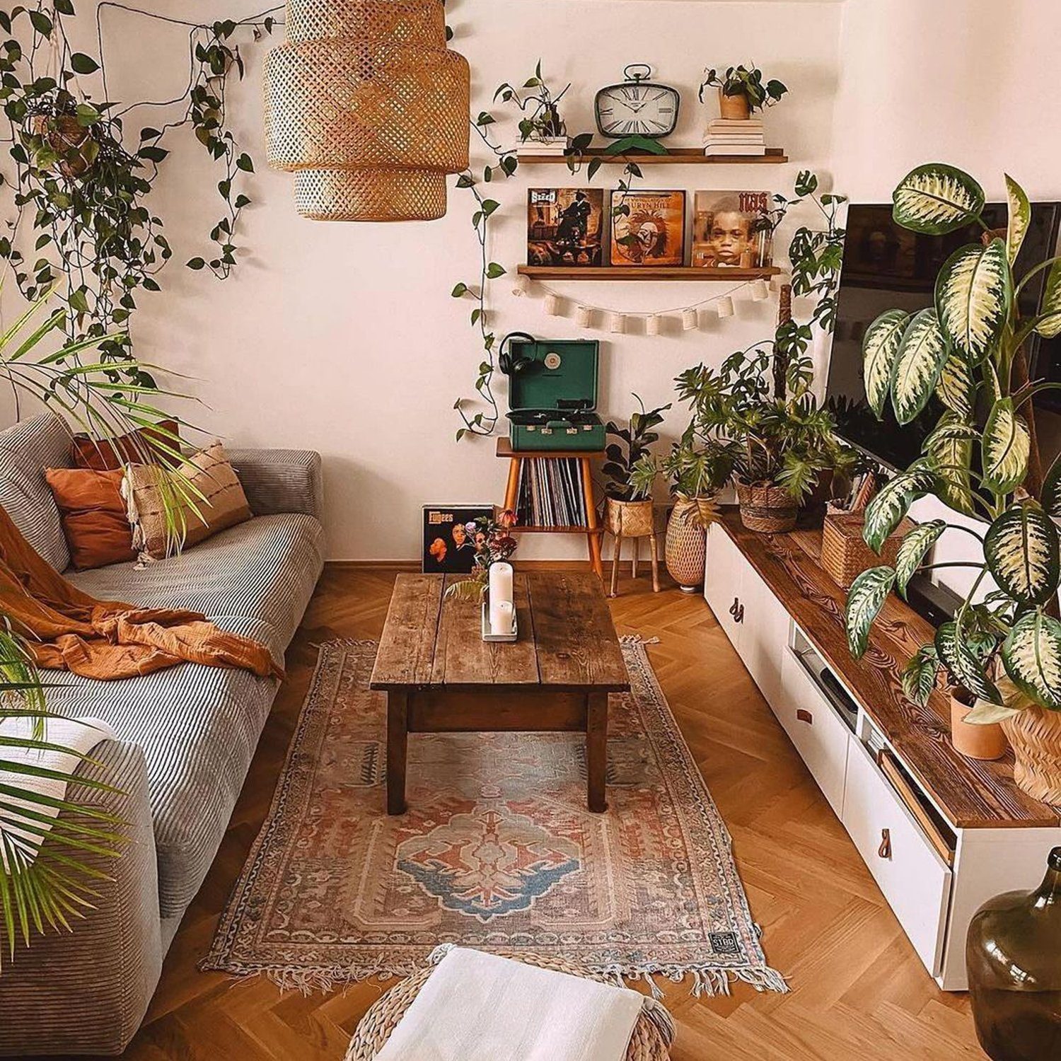 Cozy living room with an abundance of plants