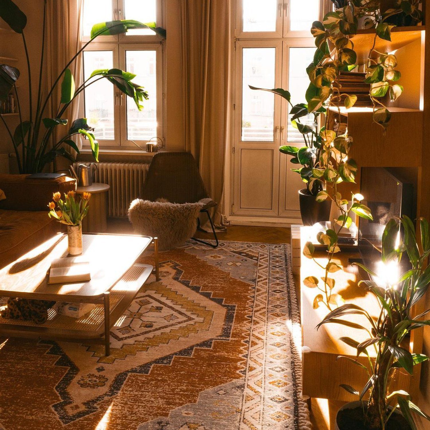 Cozy sunlit living room with plants