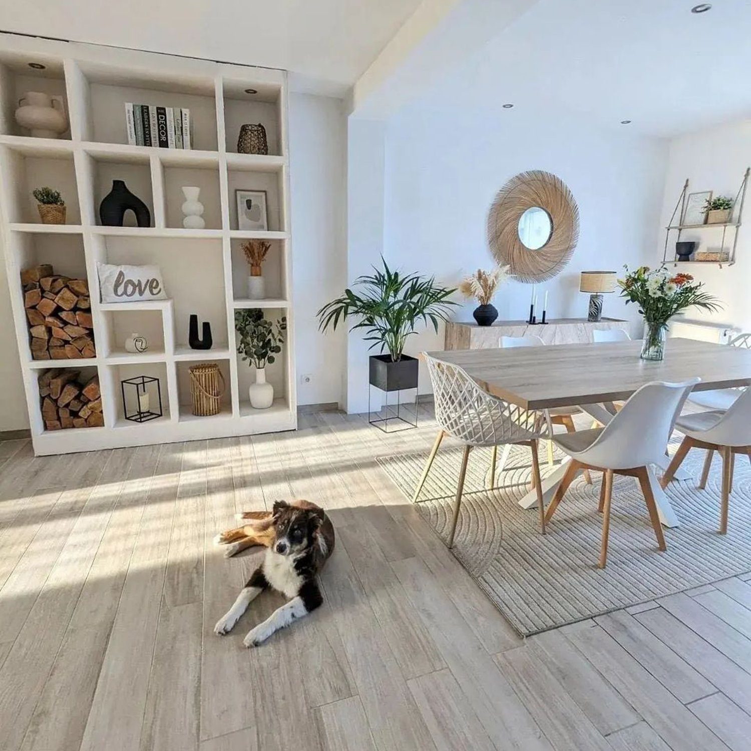 A cozy and modern dining room with a playful dog