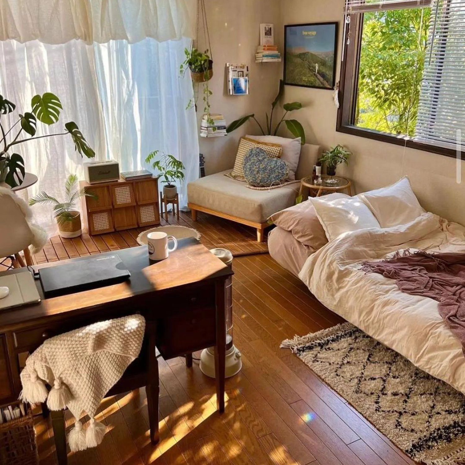 A cozy and inviting multipurpose room featuring sunlight streaming through sheer curtains