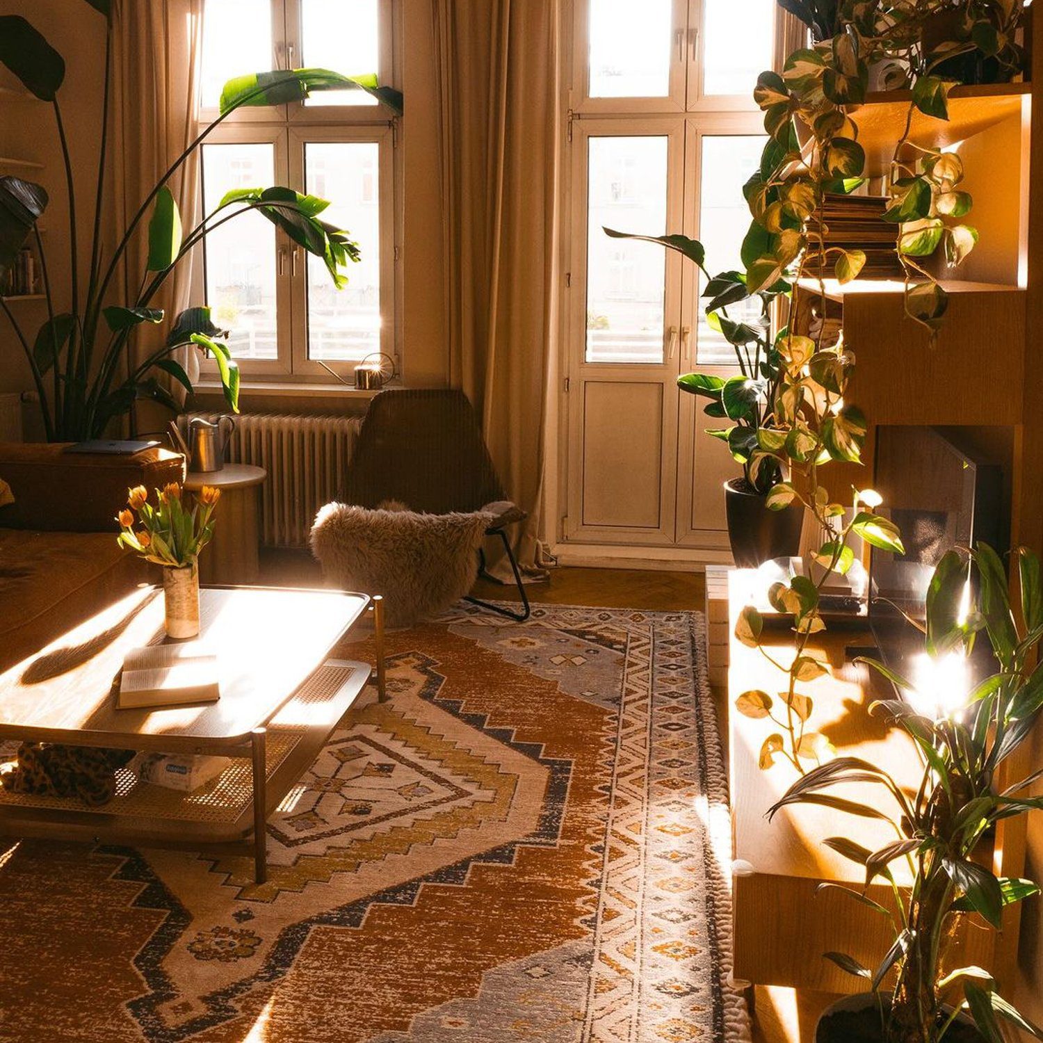 Cozy Living Room with Natural Light