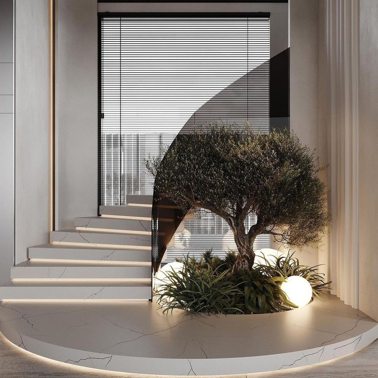 Elegant modern staircase wrapped around a luscious indoor olive tree