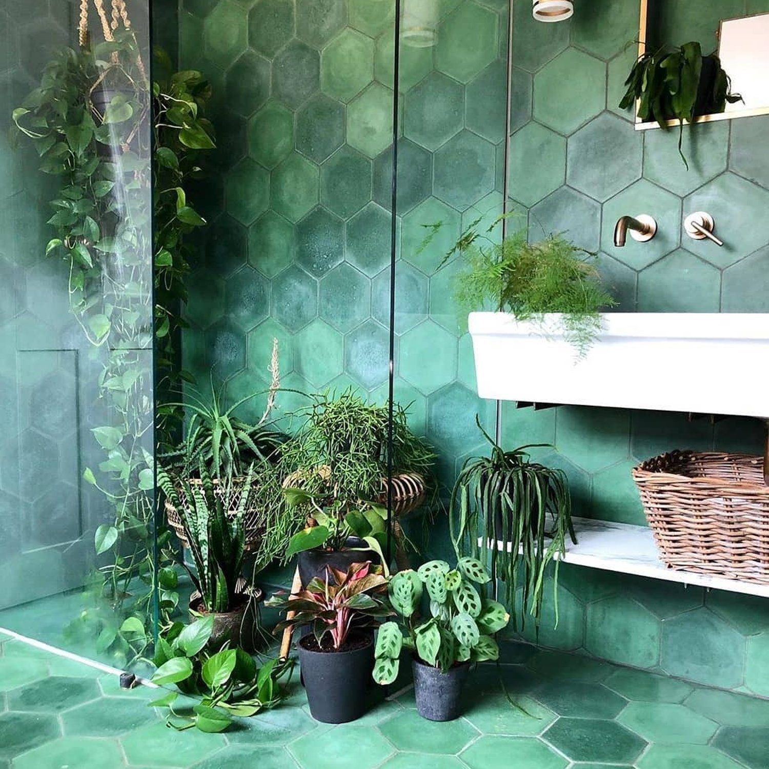 A lush green bathroom with vibrant hexagonal tiles and assorted potted plants