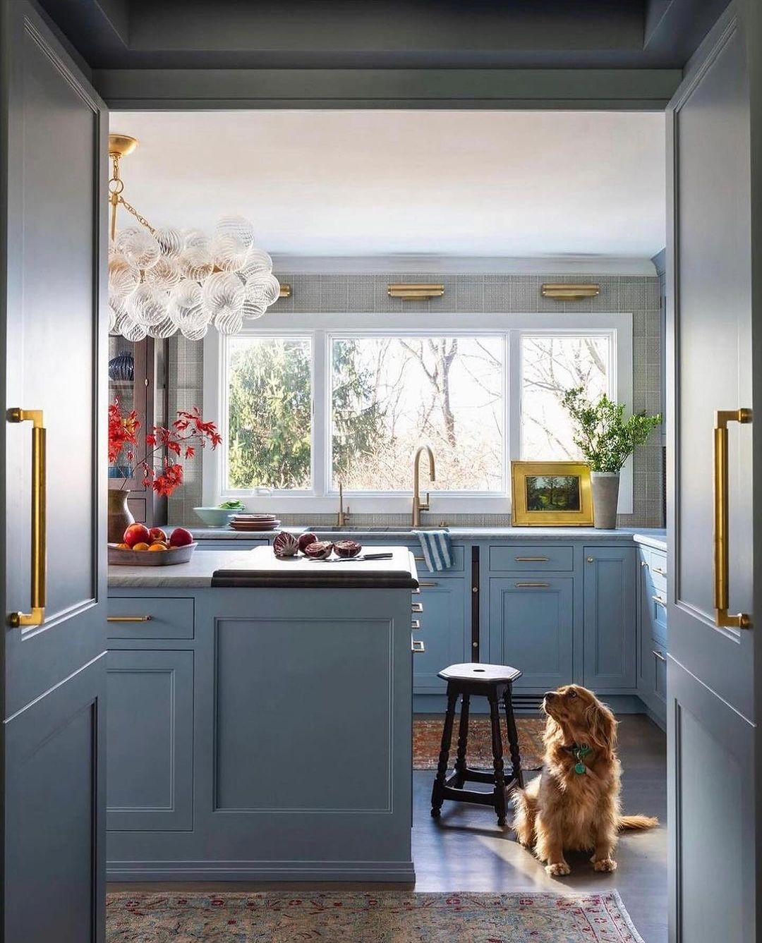 A cozy kitchen featuring blue cabinetry and gold hardware with a charming dog sitting on the rug