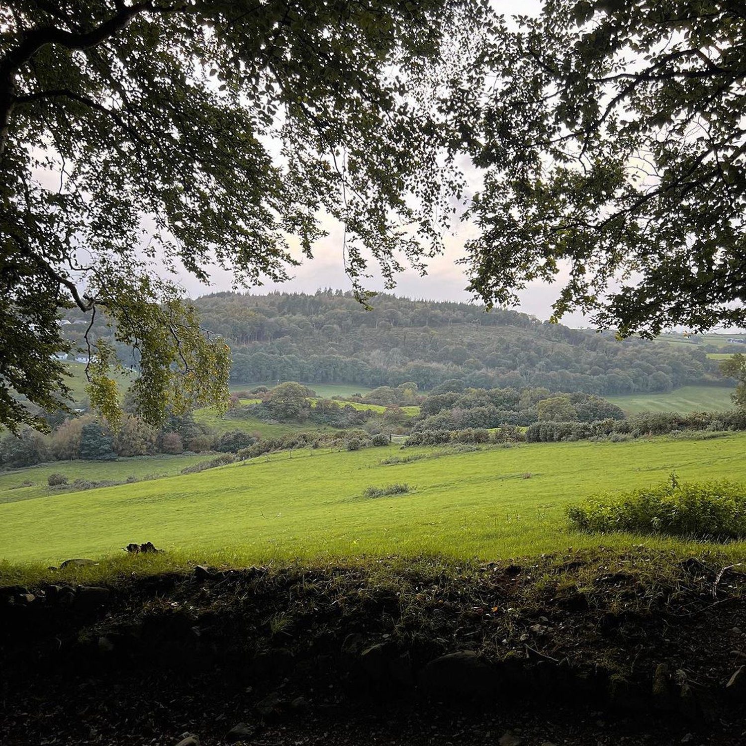 A serene countryside landscape