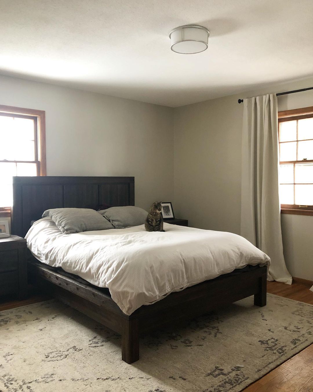 Cozy bedroom with natural lighting