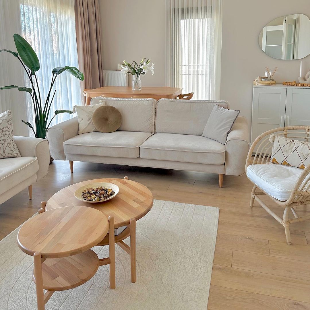 A tastefully appointed living room infused with natural light, featuring a plush sofa and contemporary round nesting coffee tables