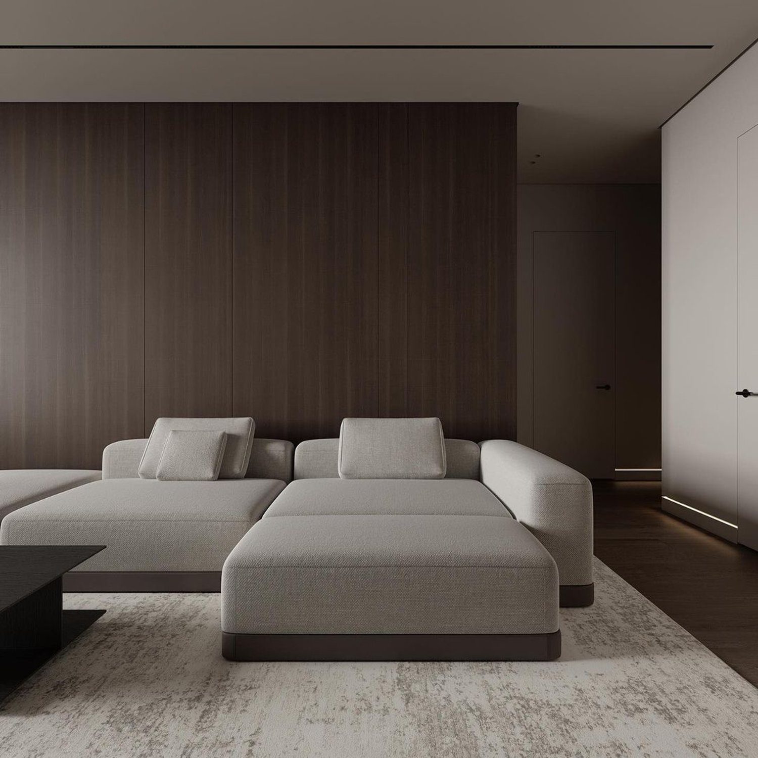 Minimalistic living room with modern furniture