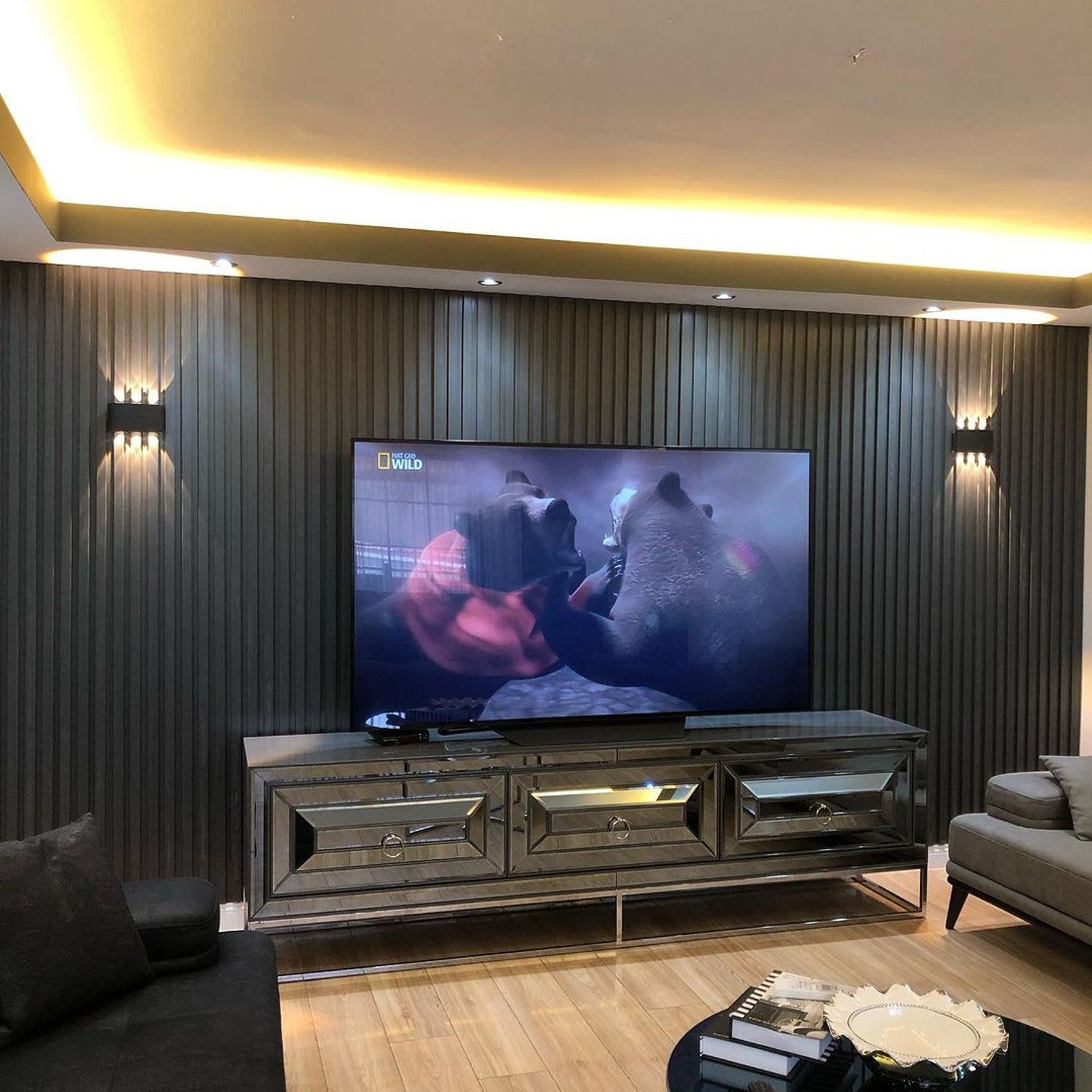 A modern living room featuring a wall-mounted TV displaying a wildlife channel