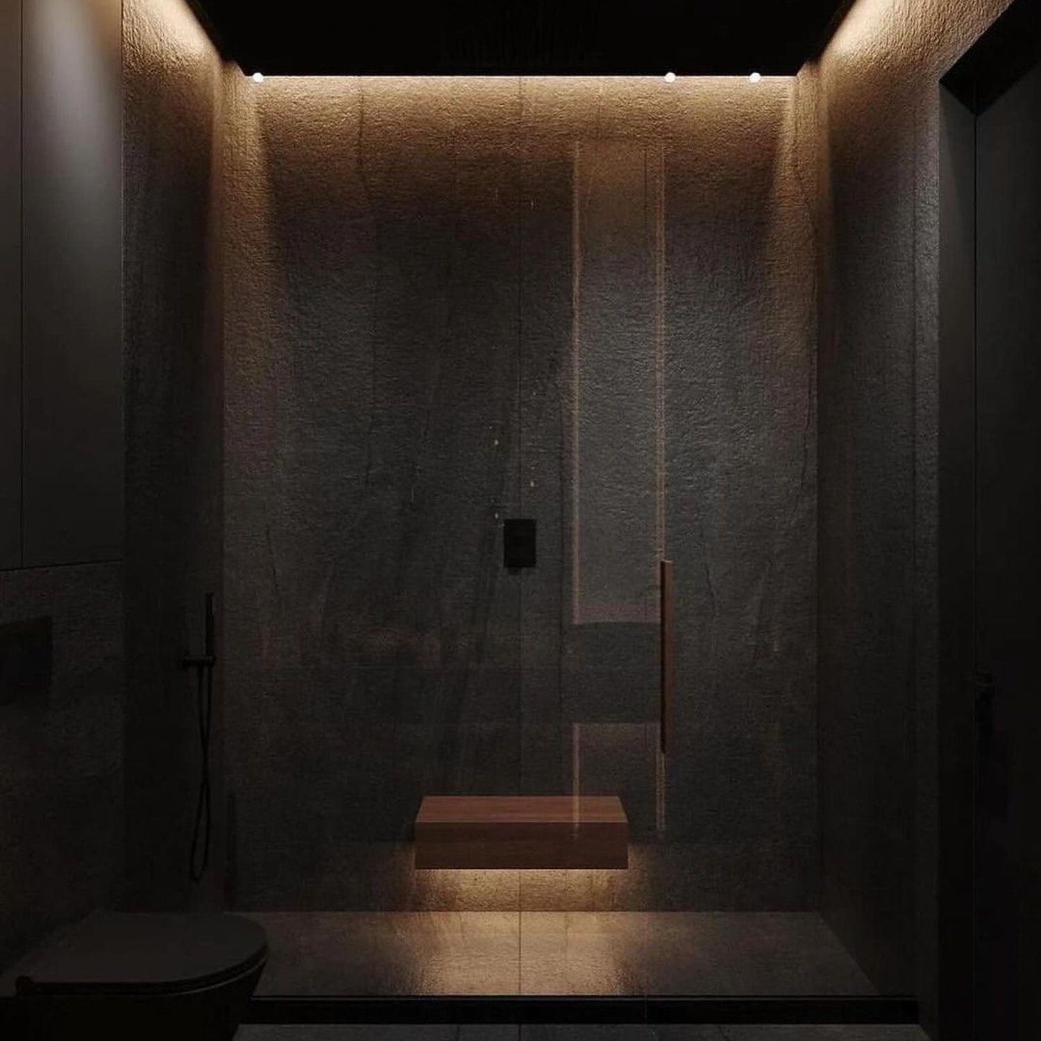 Minimalist Dark Bathroom with Rain Shower