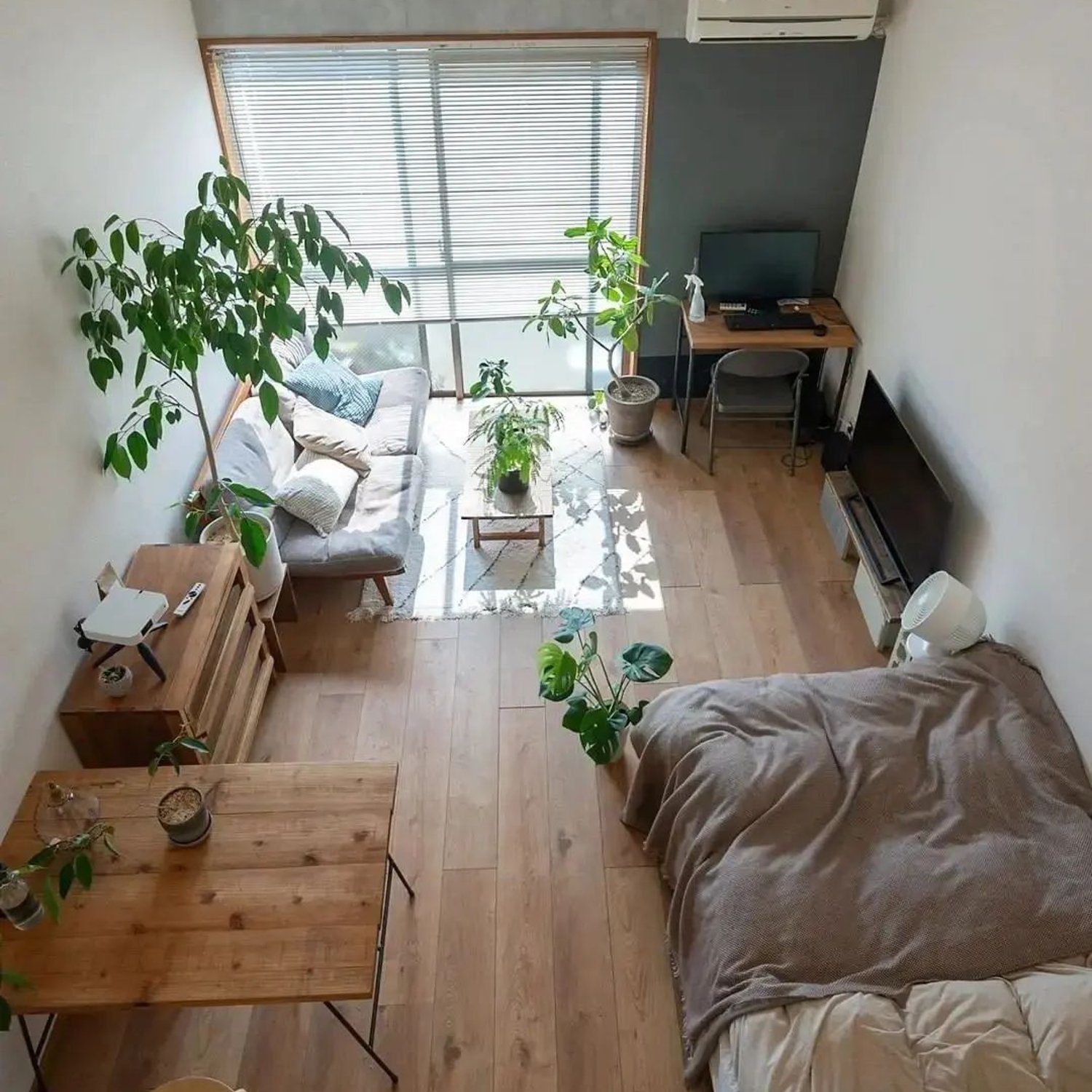 A minimalist and modern studio apartment featuring ample natural light.