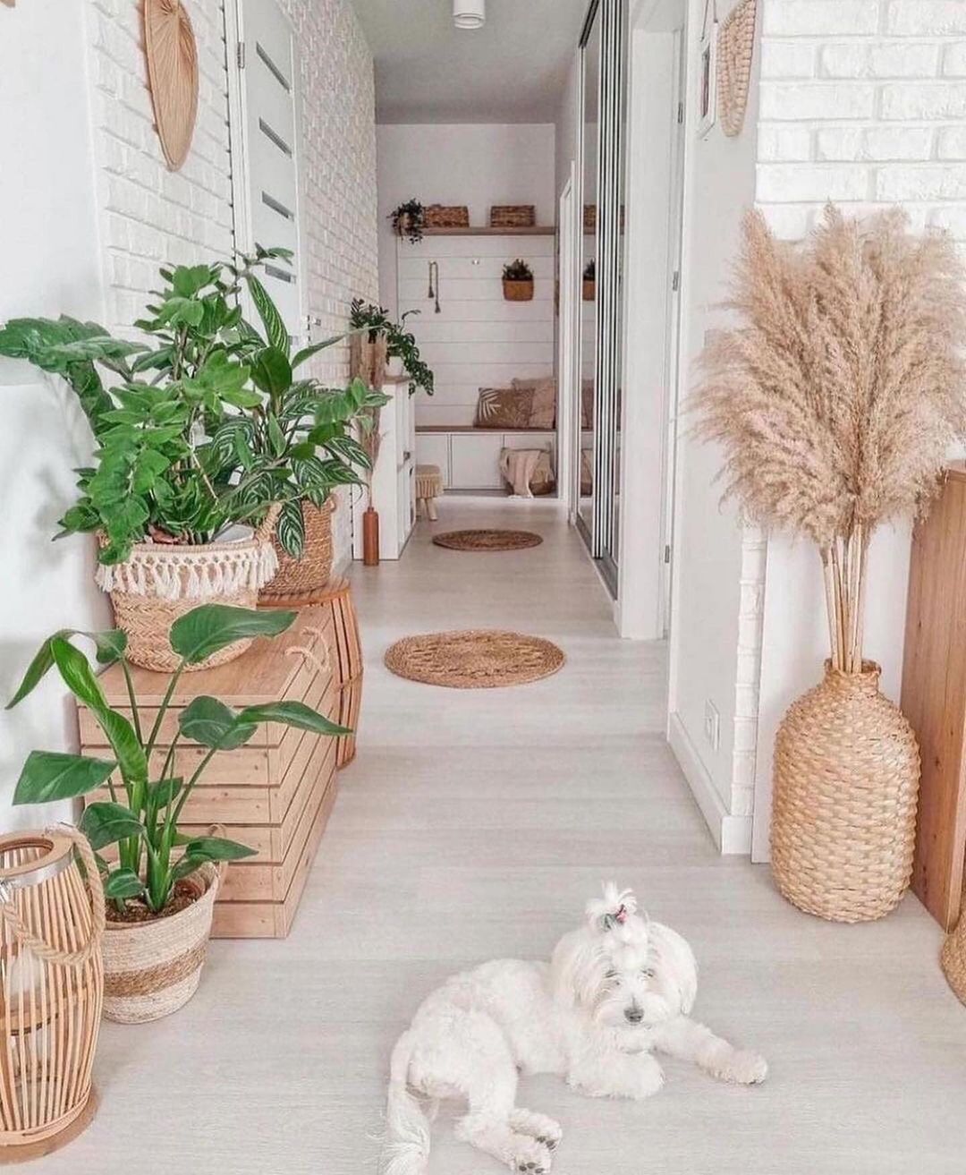 A serene and stylish interior with a white Maltese dog