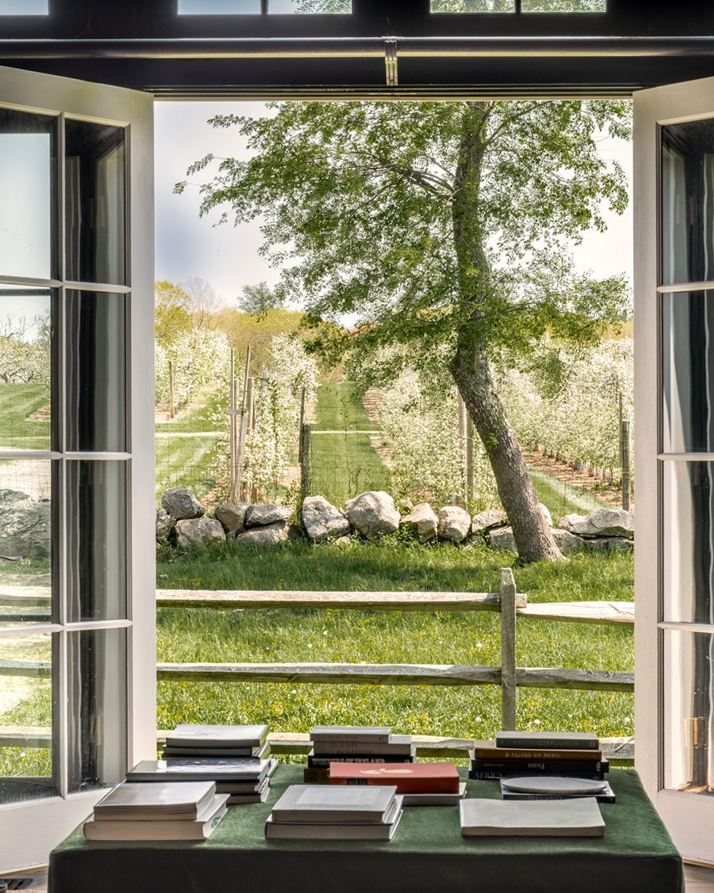 A serene view from a well-lit room, showcasing a lush green landscape outside the window